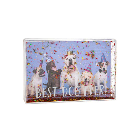 Rama foto Best Dog Ever - 202509