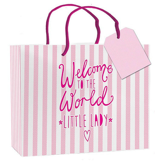 Punga cadou "Welcome to the world little lady" - GFB0153 - Cadouri Superbe